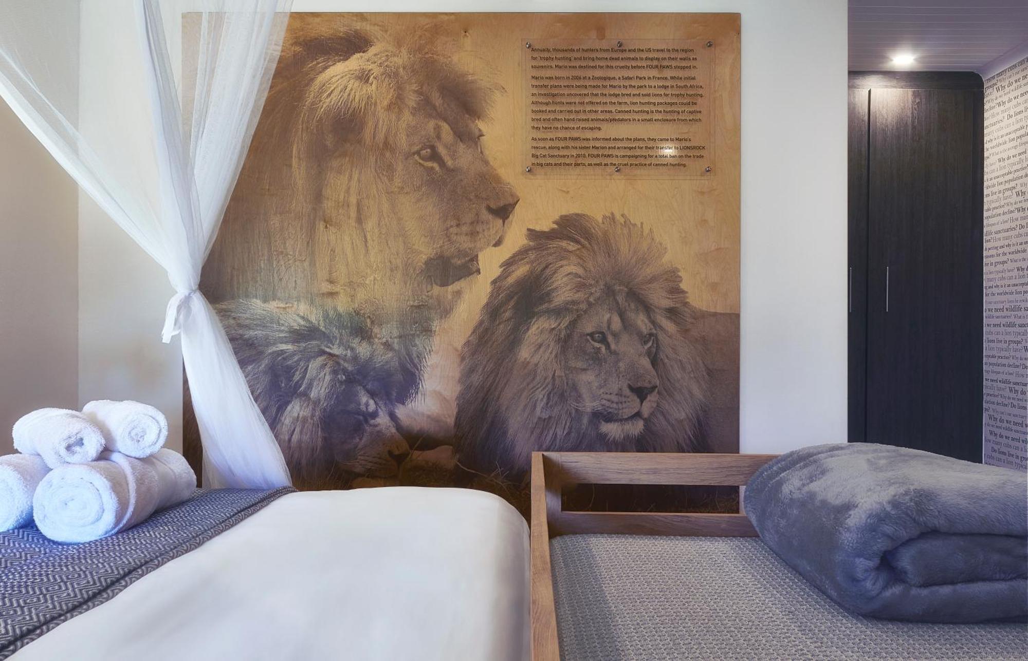 Lionsrock Big Cat Sanctuary Villa เบธเลเฮม ภายนอก รูปภาพ